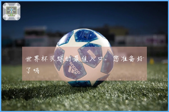 世界杯买球的最佳入口，您准备好了吗