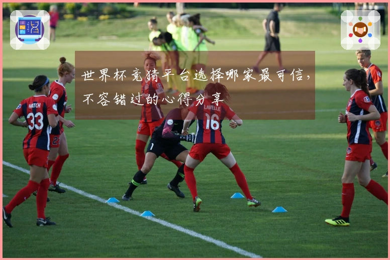 世界杯竞猜平台选择哪家最可信，不容错过的心得分享