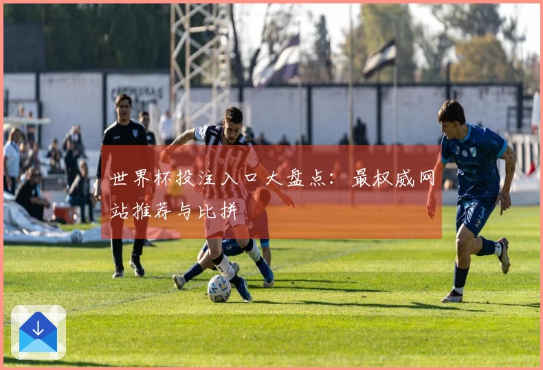 世界杯投注入口大盘点：最权威网站推荐与比拼