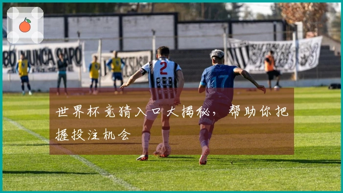 世界杯竞猜入口大揭秘，帮助你把握投注机会