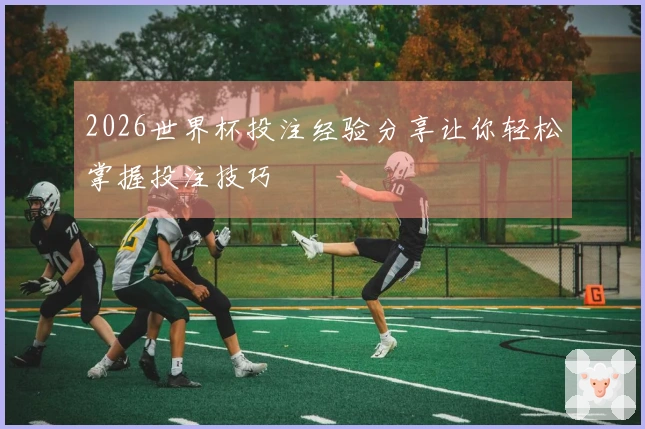 2026世界杯投注经验分享让你轻松掌握投注技巧
