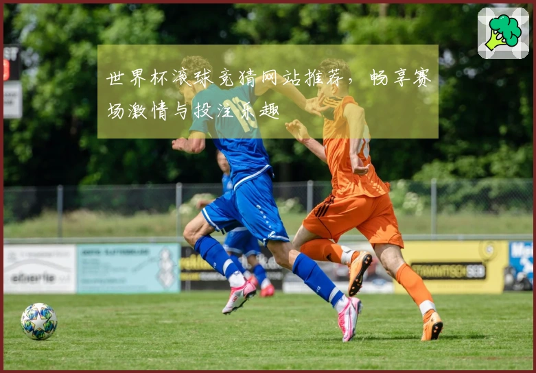 世界杯滚球竞猜网站推荐，畅享赛场激情与投注乐趣