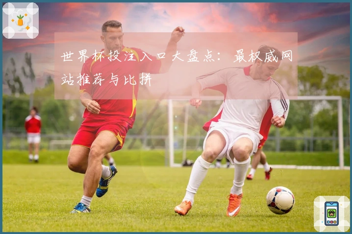 世界杯投注入口大盘点：最权威网站推荐与比拼