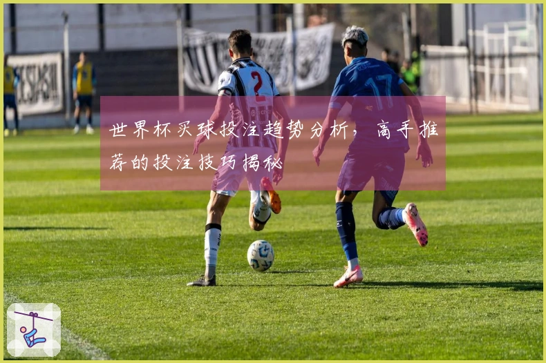 世界杯买球投注趋势分析，高手推荐的投注技巧揭秘